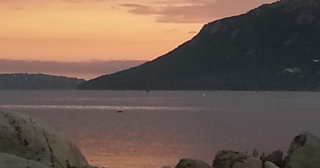 Les Roches Blanches Otel Porto-Vecchio  Dış mekan fotoğraf