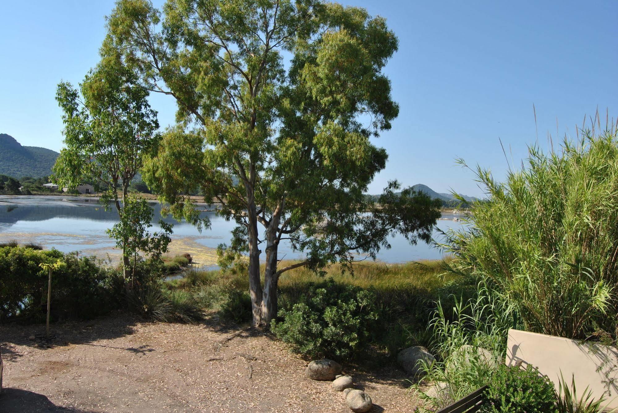 Les Roches Blanches Otel Porto-Vecchio  Dış mekan fotoğraf